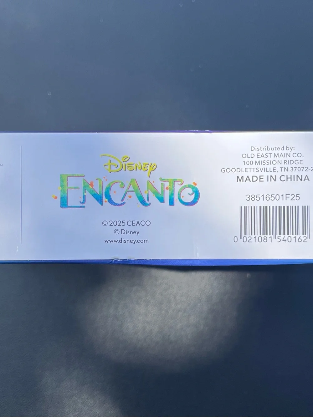 DISNEY'S ENCANTO FAMILY PORTRAIT 1000 Piece Puzzle